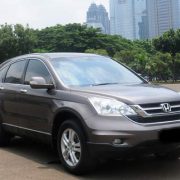 Only For Daily Consumption