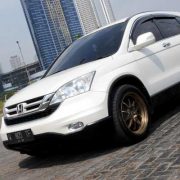 Simple For Daily Consumption