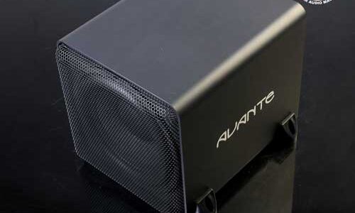 Avante AW-8818X : Double Boost Subwoofer